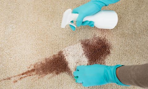 Vệ sinh thảm và dịch vụ vệ sinh thảm tốt nhất TPHCM
